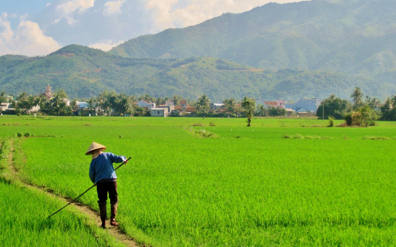 Đất ruộng là gì?